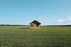 Small wooden cabin in a vast field under a clear sky photo