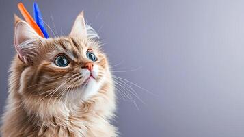 A fluffy cat with colorful pens on its head gazes curiously at a soft gray background photo