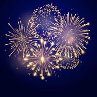 Fireworks bursting in various shapes. Firework explosion in night vector