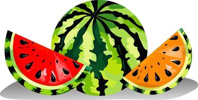 isolated object watermelon bright fruit with red and yellow slices. summer design element. fresh food illustration on white background vector