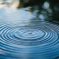 A circular ripple in the water is shown photo