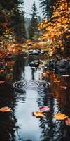 A water ripples in the middle of a stream photo