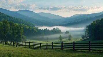 Foggy morning in a green valley photo