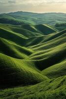 Rolling green hills in Tuscany photo