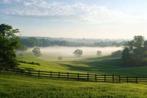 Morning mist blankets the valley photo