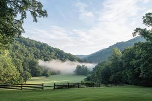 Mist blankets the green valley photo