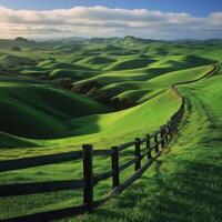Rolling green hills with a fence photo