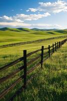 Lush green fields under a blue sky photo
