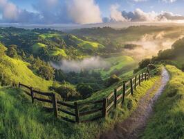 Rolling hills with morning mist photo