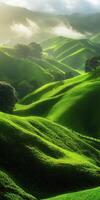 A green field photo
