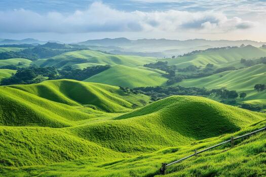 A green hill with grass and trees photo