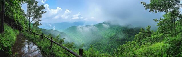 Lush mountain landscape after rain photo