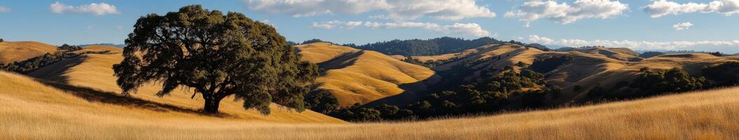 Golden hills under a clear sky photo