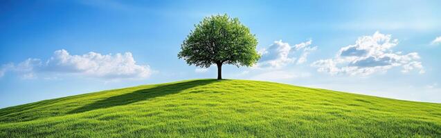 Serenity of a single tree on a hill photo