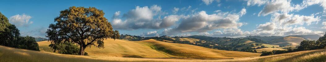 Rolling hills under a bright sky photo