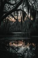 Reflections on still water at dusk photo
