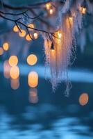 Soft glow of lights through moss photo