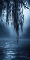 Moss hangs over calm water at dusk photo
