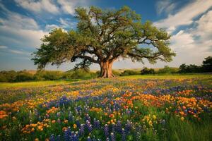 Bright flowers by a tree photo