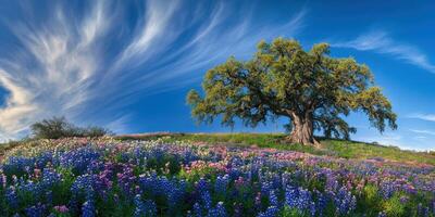 A tree stands in front of a field of wildflowers photo