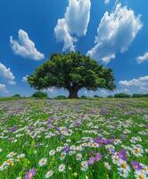 Meadow blooms with big tree photo