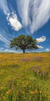 Lone tree in vibrant scene photo