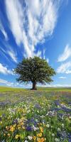 Colorful flowers by one tree photo
