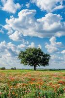 A tree stands in a field of flowers with clouds in the background photo