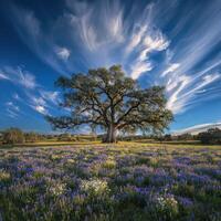 Beautiful tree in a blooming field photo