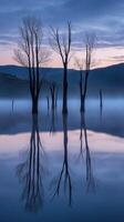 Dawn lake reflections photo