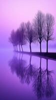 brumoso noche por el calma lago foto