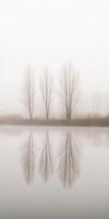 Foggy morning by the calm lake photo