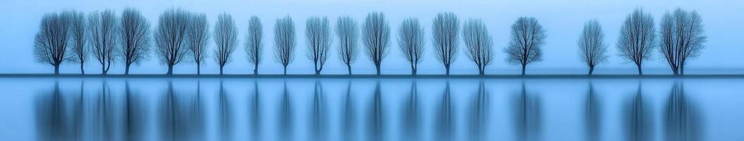 Serene trees by the calm lake photo