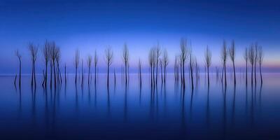 Dusk tree reflections photo
