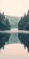 Still lake reflects foggy forest surroundings photo