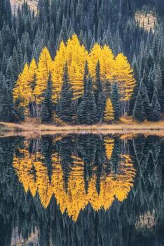 Autumn trees reflected in calm lake photo