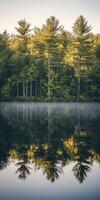 Mist over a calm lake at dawn photo