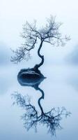 Lonely tree reflects in calm water at dawn photo