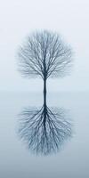 Lonely tree with reflection in calm water photo