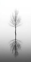 Lonely tree stands in misty water landscape photo