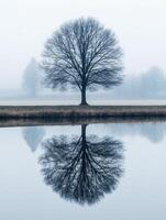 Misty morning reflection by a calm lake photo