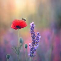 Vibrant wildflowers in bloom with a bee photo