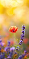 Vibrant wildflower with bee in blooming field photo