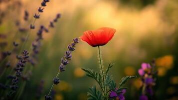 Bright wildflower blooms in a vibrant meadow photo