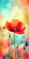 Colorful wildflower in a meadow photo