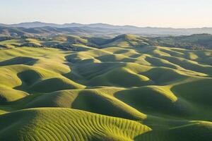 Vibrant green rolling hills in soft sunlight photo