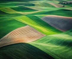 An aerial view of green fields and hills photo