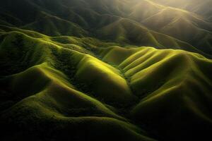 Rolling green hills under soft sunlight photo