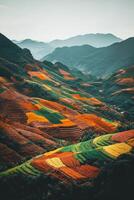 Colorful terraced fields in autumn mountains photo
