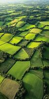 Scenic green farmland view photo